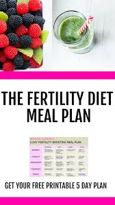 The Fertility Diet Meal Plan Fertility Diet Fertility Smoothie Fertility Foods
