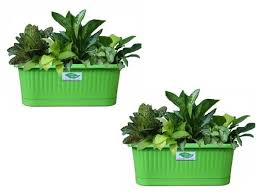 Window boxes for balcony railings. Balcony Railing Planter Railing Planter Pots Green Colour Set Of 2 Minerva Naturals Wholesale Supplier From Bengaluru