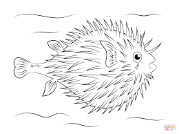 Amazing Puffer Fish Coloring Page In 2020 Fish Coloring Page Animal Coloring Pages Coloring Pages