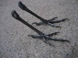 Pin On Bird Carvings