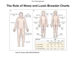 24 Explicit Lund And Browder Chart For Burns