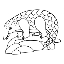 Enter your details on the quick registration page. 834 Pangolin Vector Images Free Royalty Free Pangolin Vectors Depositphotos