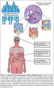 Meaning, pronunciation, synonyms, antonyms, origin, difficulty, usage index and more. Heterogeneity And Cancer