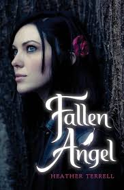 Amazon.com: Fallen Angel (Fallen Angel, 1): 9780061965708: Terrell,  Heather: Books