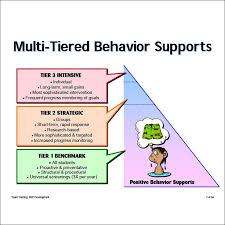 Positive Behavior Support Plan Check More At Https Nationalgriefawarenessday Com 11290 Positive Behavior Support Plan