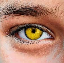 Maybe you would like to learn more about one of these? Gold Eyes Aesthetic Eyes Pretty Eyes Color Rare Eye Colors