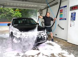 Lovebugs undaunted, cars be darned