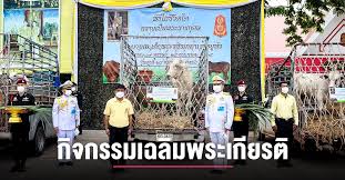 Jul 03, 2021 · 03 ก.ค. Ptz7jkwvodtjqm