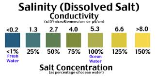 Salt Brackish And Estuary Water Tests For Salt Water