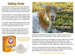 Baking Soda And It S Use With Goats Dairy Goats Goats Goat Farming