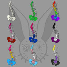Maybe you would like to learn more about one of these? Happy Pride Also Scoliosis Awareness Month This Is A T Shirt Design I Did Last Year In Honor Of Both The First Two Being Scoliosis Related And The Rest Being Pride Flags Lgbt
