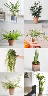 Shockingly Good And Convincing Faux Indoor Plants Indoor Plants Plants Small Fake Plants