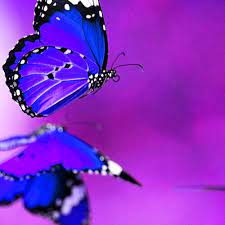 Maybe you would like to learn more about one of these? Nice Whatsapp Dp Profile Images Wallpaper Photo Free Download Mirchistatus