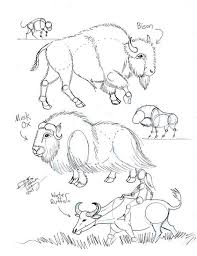 Draw Bison Musk Ox And Water Buffalo By Diana Huang Deviantart Com Art Poses Drawings Art Reference Poses
