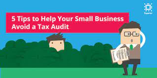 5 Tips To Help Your Small Business Avoid A Tax Audit - Small Business  Matters