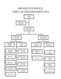 organizational structure broadview