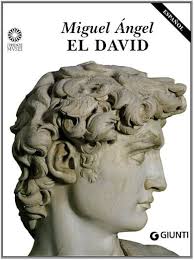 Amazon.com: Miguel Angel. El David: 9788809216853: Libros