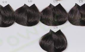 Majirel 5 12 5 02 5 15 5 25 4 15 Headbands Loreal Majirel Hair Styles