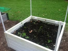 We did not find results for: How To Make Deer Exclosure For Raised Beds