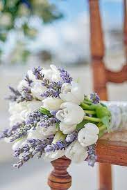 Maybe you would like to learn more about one of these? Pin By M Rodgers On Purple S Wedding Flowers Tulips Flower Bouquet Wedding Cheap Wedding Flowers