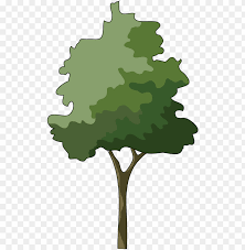 You can download free png images and png cliparts for photoshop,web design. Trees In Elevation For Photoshop Png Image With Transparent Background Toppng
