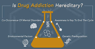 Image result for addiction gene
