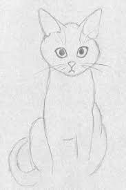 Cat Sketch Cat Sketch Cat Drawing Tutorial Easy Animal Drawings