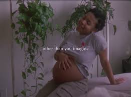 Image result for Gravidity