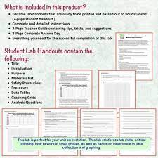 Natural selection you are a bird hunting moths (both dark and light) that live on trees. Evolution Lab Modeling Natural Selection Teacher Guides Teaching Materials Natural Selection