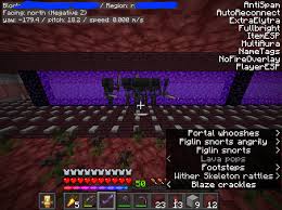 You will get the following features: Wither Skeletons Usually Disappear When They Touch A Portal Block But Some Edge Case In This Farm Causes Them Not To Go Through The Portal And Then They Clog Up The Whole