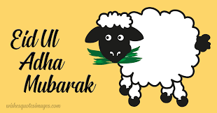 May 12, 2021 · update vom 12.05.2021: Eid Ul Adha Gif Animations With Wishes Greetings Messages
