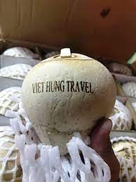 DỪA THƯƠNG HIỆU