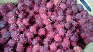 Maybe you would like to learn more about one of these? 17 Tropical Fruits You Need To Try In Ecuador