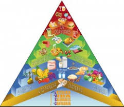 Consejeria De Sanidad De Cantabria Consejos Para Una Alimentacion Sana Y Equilibrada