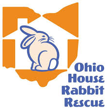 Paws strives to eliminate the needless euthanasia of homeless animals, one dog, one adopter at a time. Pets For Adoption At Ohio House Rabbit Rescue In Columbus Oh Petfinder