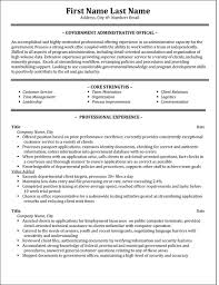 Here are some additional best practices Top Government Resume Templates Samples