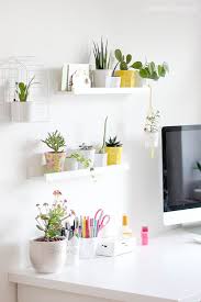 Aentschies Blog Pflanzen Und Katzen Kein Problem Kleines Giveaway Dekor Pflanzen Blumentopfe Zum Aufhangen
