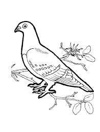 Use a large screen this app offers: Birds 999 Coloring Pages Bird Coloring Pages Mandala Coloring Pages Coloring Pages For Kids