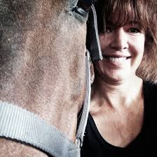 Indigo Sky Integrated Equine Bodywork, LLC