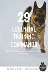 Dog Training For Beginners Youtube Dog Training Obedience Dog Training 45103 Dog German Shepherd Training Dog Training Obedience Easiest Dogs To Train