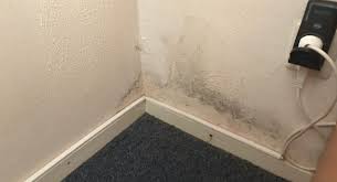 schimmel op uw vochtige muur carebrick oorzaken oplossingen
