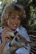 With The Love Boat (Sorted by User rating Descending)