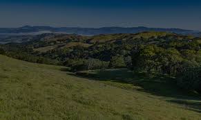 Image result for Forest Green 1994 Sonoma