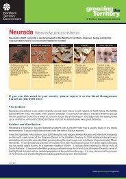 Image result for Scleria lateritica