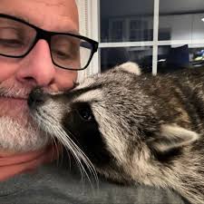 Randy (@racc.dad) • Instagram photos and videos