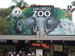 San Diego Zoo Critically Endangered Lemur Born