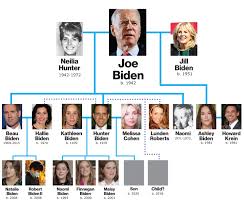 Image result for Bidens baumii