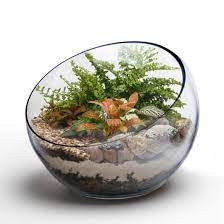 A terrarium is a miniature ecosystem, in my case desert. How To Make A Cactus Terrarium The Prickly Details Terrarium Tribe