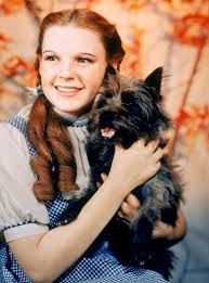 Disney Family Recipes Crafts And Activities Wizard Of Oz Characters The Wonderful Wizard Of Oz Wizard Of Oz