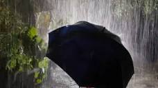 Heavy Rain on Umbrella & Loud Thunder Sounds | Tropical Rain ...